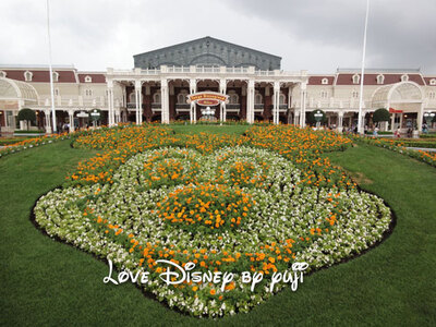 D's Delights（ディーズ・ディライト）！東京ディズニーリゾート・グルメ特集