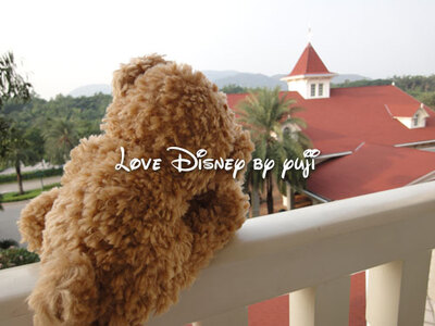 ダッフィーグッズ！香港ディズニーランド