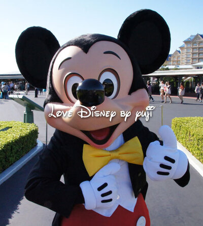 ディズニースナップフォト・年間パスポートオリジナル