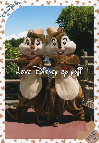 12月年間パスポートオリジナル・ディズニースナップフォト