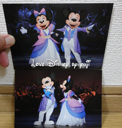 グッズ・バレンタインナイト2013！東京ディズニーシー