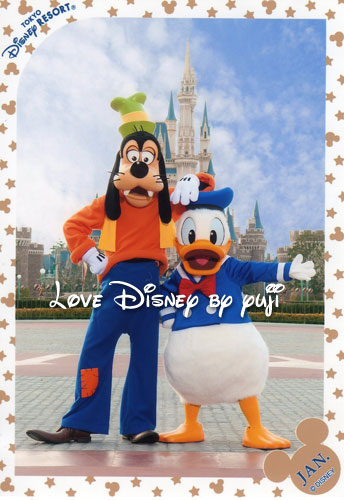 年パス限定スペシャルフォト！ディズニースナップフォト