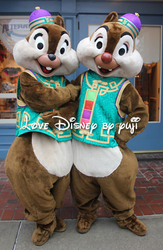 チップ＆デールのペアグリーティング！香港ディズニーランド