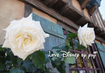 新グッズ発売！ぬいぐるみバッチ＆ストラップ