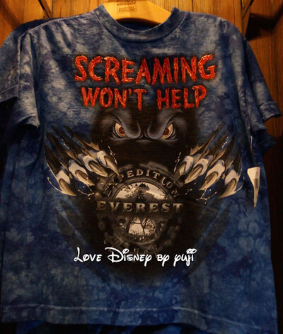 大人気アトラクション「エクスペディション・エベレスト」！ウォルト・ディズニー・ワールド