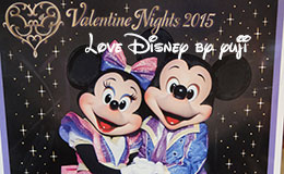 バレンタイン・ナイト2015おすすめグッズ紹介！