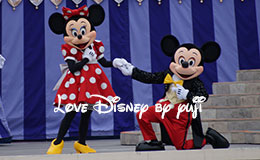 ミッキーとミニーのキス画像！キャッスルショー「ドリーム・アロング・ウィズ・ミッキー」