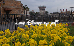 パークを彩る主役達＆ミッキーのコーンアート