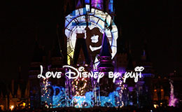 特別観賞エリアから見た「ワンス・アポン・ア・タイム」のシンデレラシーン