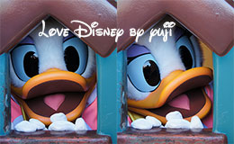 トゥーンタウンのキャラクターグリーティング特集！東京ディズニーランド