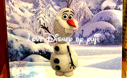 アナと雪の女王グッズ（文房具）特集！東京ディズニーリゾート