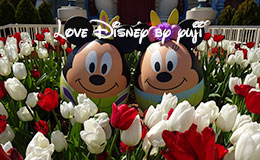 パーク内にイースターエッグ登場！東京ディズニーランド・ディズニーイースター2015