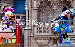 中央鑑賞エリアのセンターブロック席から撮影した「雅涼群舞」！