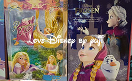 2016年スケジュール帳37冊紹介！ in TDR