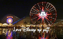 「World of Colorダイニングパッケージ」体験レポート！Disneyland Resort旅行記〜