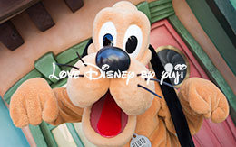 「プルート・グリーティング」画像を4枚紹介！Disneyland Resort旅行記