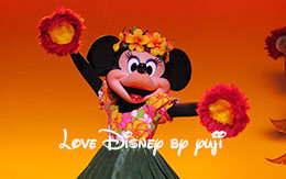 最前列で撮影したミニー画像8枚紹介！ミッキーのレインボー・ルアウ