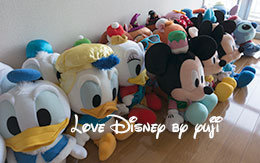 「アブーズ・バザールのぬいぐるみ25体」＆「非売品カレンダー」紹介！