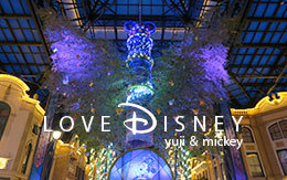 TDLディズニー七夕デイズ2017「ワールドバザール夜景」画像11枚紹介！