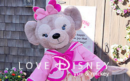 ダッフィーのハートウォーミング・デイズのグリーティング（ダッフィー/シェリーメイ）