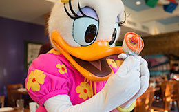 「ディズニーPCHグリルのデイジー」Disneyland Resort旅行記