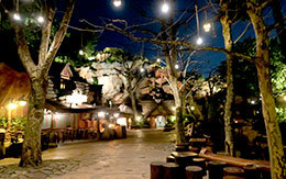 TDL「誰もいなくなったクリッターカントリーの夜景画像」5枚紹介！