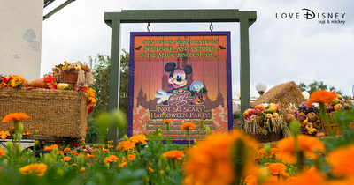 ディズニーワールド・ハロウィーン2014飾付！マジックキングダム