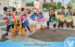 2019年2月4日発売「ハロー、ニューヨーク！のコレクションカード」全14種類紹介