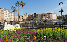 春の訪れを感じる「東京ディズニーシーの菜の花畑」