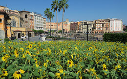 【真夏日】年間パスポート所持者限定の抽選に当選してTDSへ行ってきた。実際の混雑状況は？