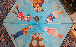 2020年9月7日発売の「ディズニーキャラクター晴雨兼用傘」の在庫状況は？