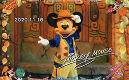 TDS「エントリー受付」に当選！トレイル・ミッキーの誕生日を祝ってきた