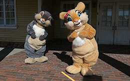 緊急事態宣言中の東京ディズニーシーはキャラクターグリーティング天国。会えた人数は？