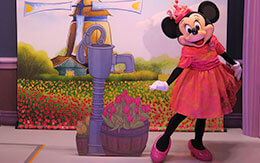 東京ディズニーランドのグリーティング「エントリー受付」なし。何人のキャラクターに会えるのか検証してみた