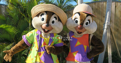 ルックアウト・ケイ限定！ミッキーたちの特別グリーティングを完全レポート