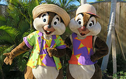 ルックアウト・ケイ限定！ミッキーたちの特別グリーティングを完全レポート