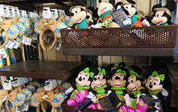 ディズニークルーズ限定！キャスタウェイ・ケイのグッズ＆グルメ徹底ガイド